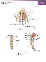 Sobotta Atlas of Human Anatomy  Head,Neck,Upper Limb Volume1 2006, page 220